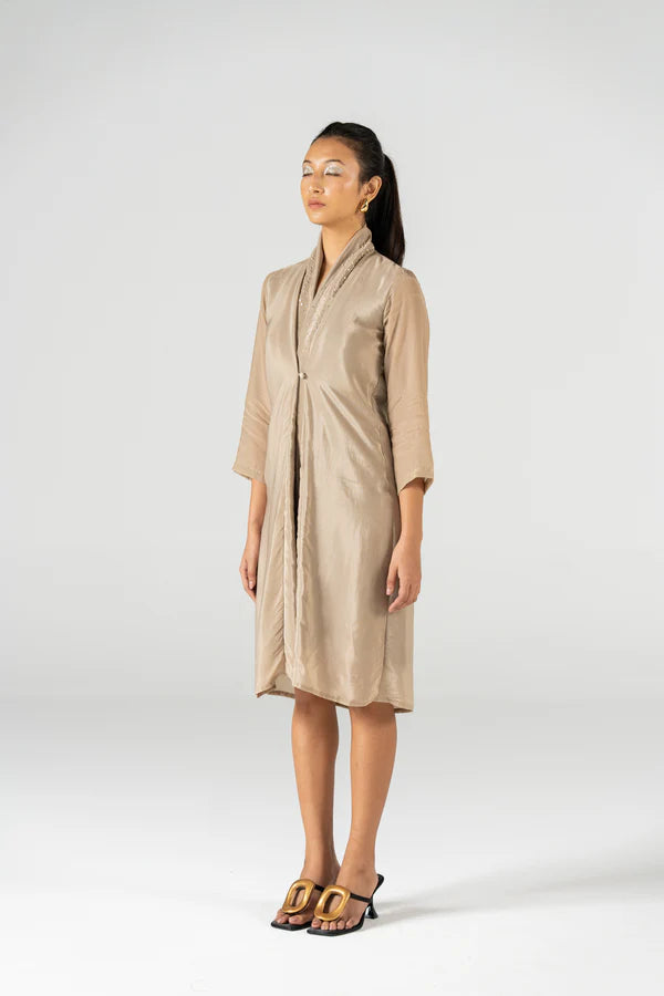 Button Down Dress