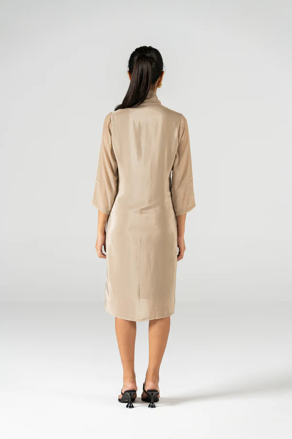 Button Down Dress
